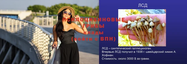 молекула духа Михайлов