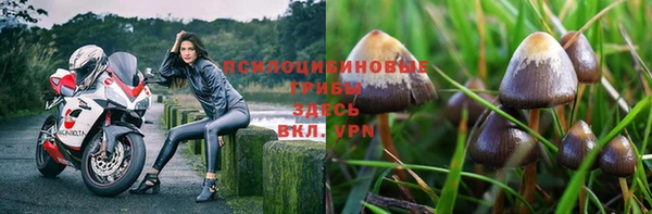 гашиш Елизово